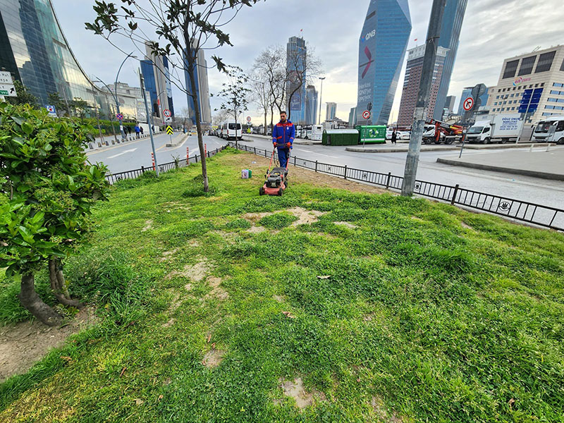 Kâğıthane’de Bahar Coşkusu: Yeşil Alanlar Yenileniyor
